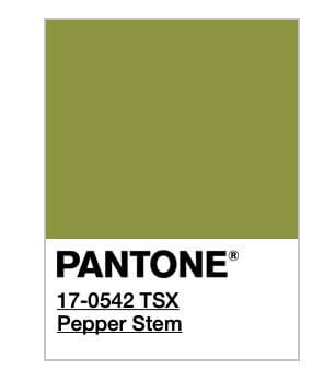 Otro de los colores del 2019 es el Pepper Stem Pantone.