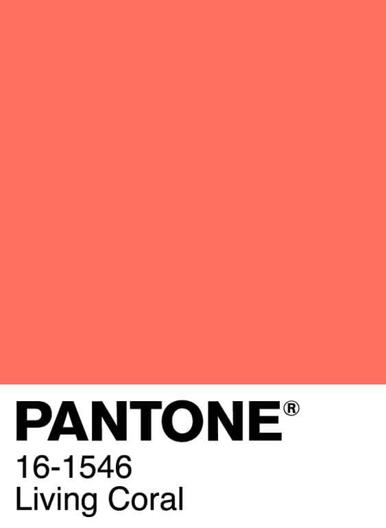 Uno de los colores del 2019 es el Pantone Living Coral.